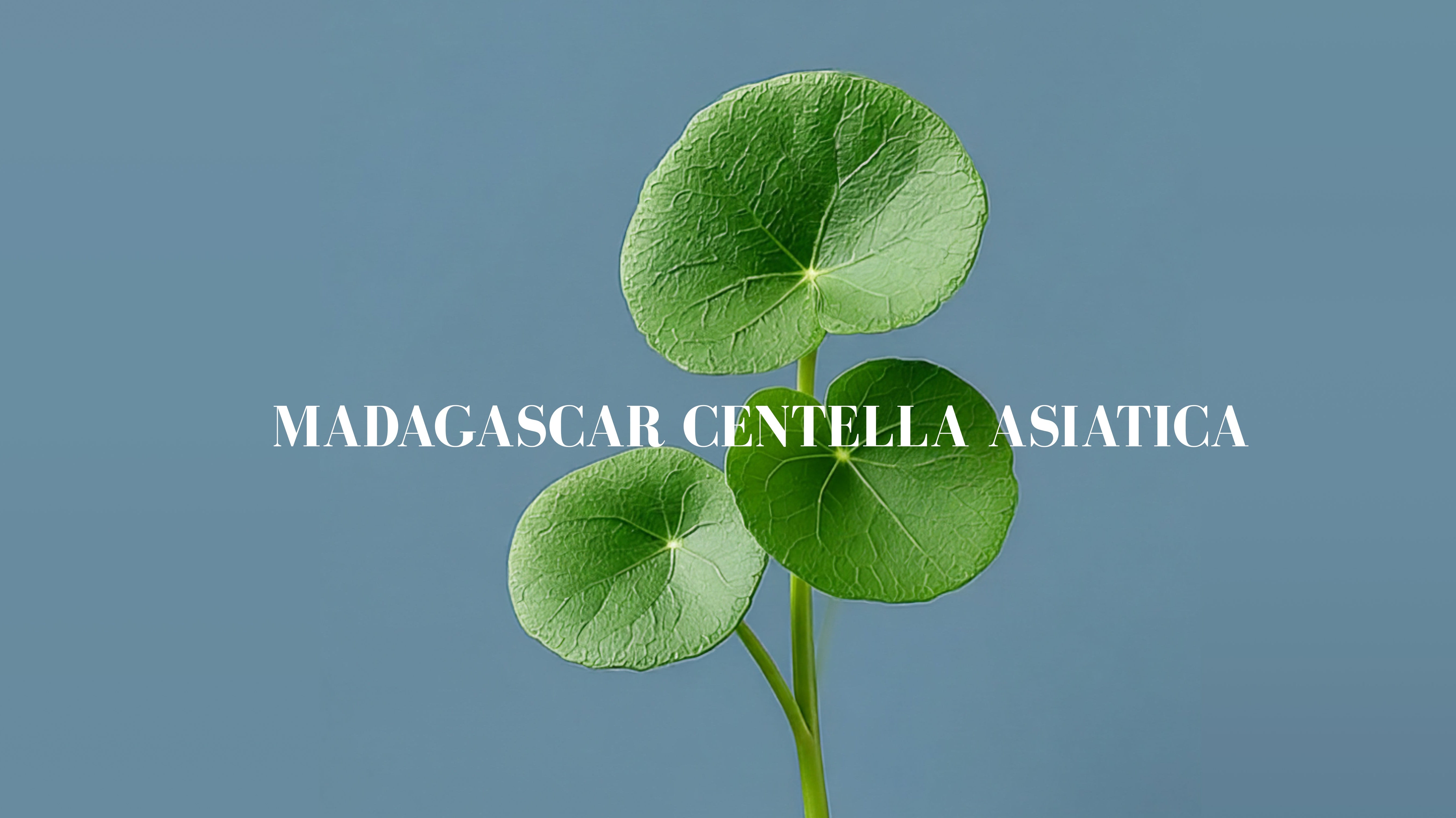 "Not All Cica Is the Same.” Here's Why Madagascar Changes Everything!