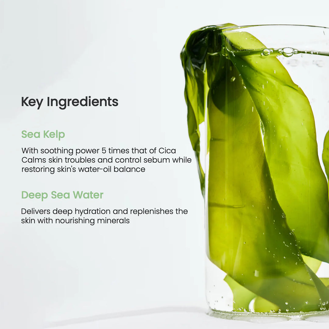 Glass with sea kelp and text about key ingredients on a white background