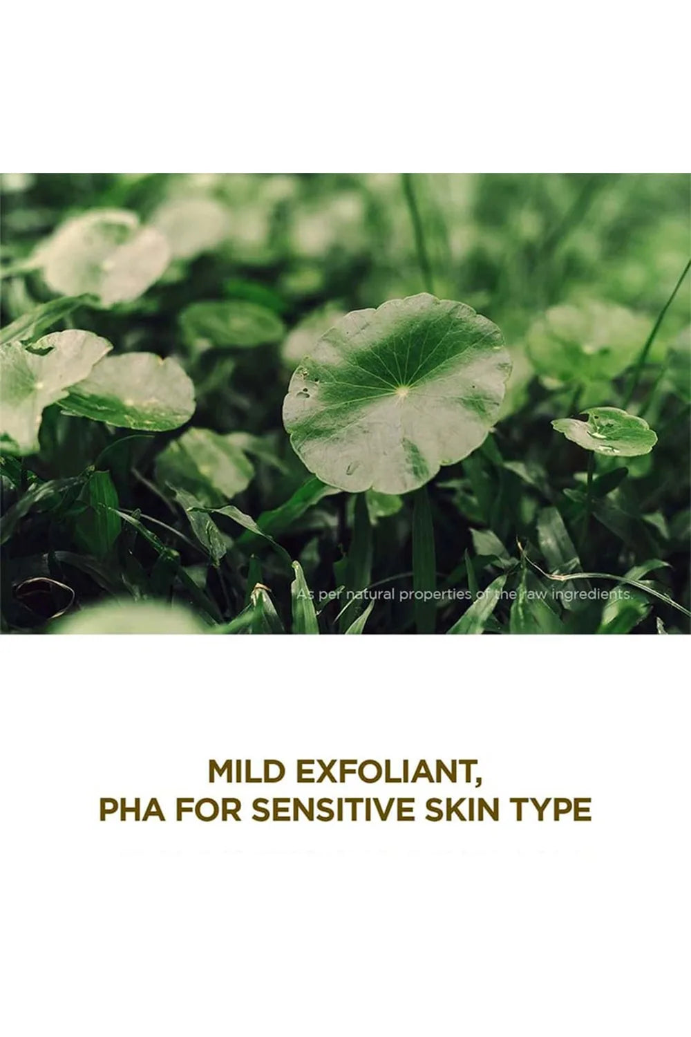 Mild exfoliant withPHA for sensitive skin type text on a green leaf background