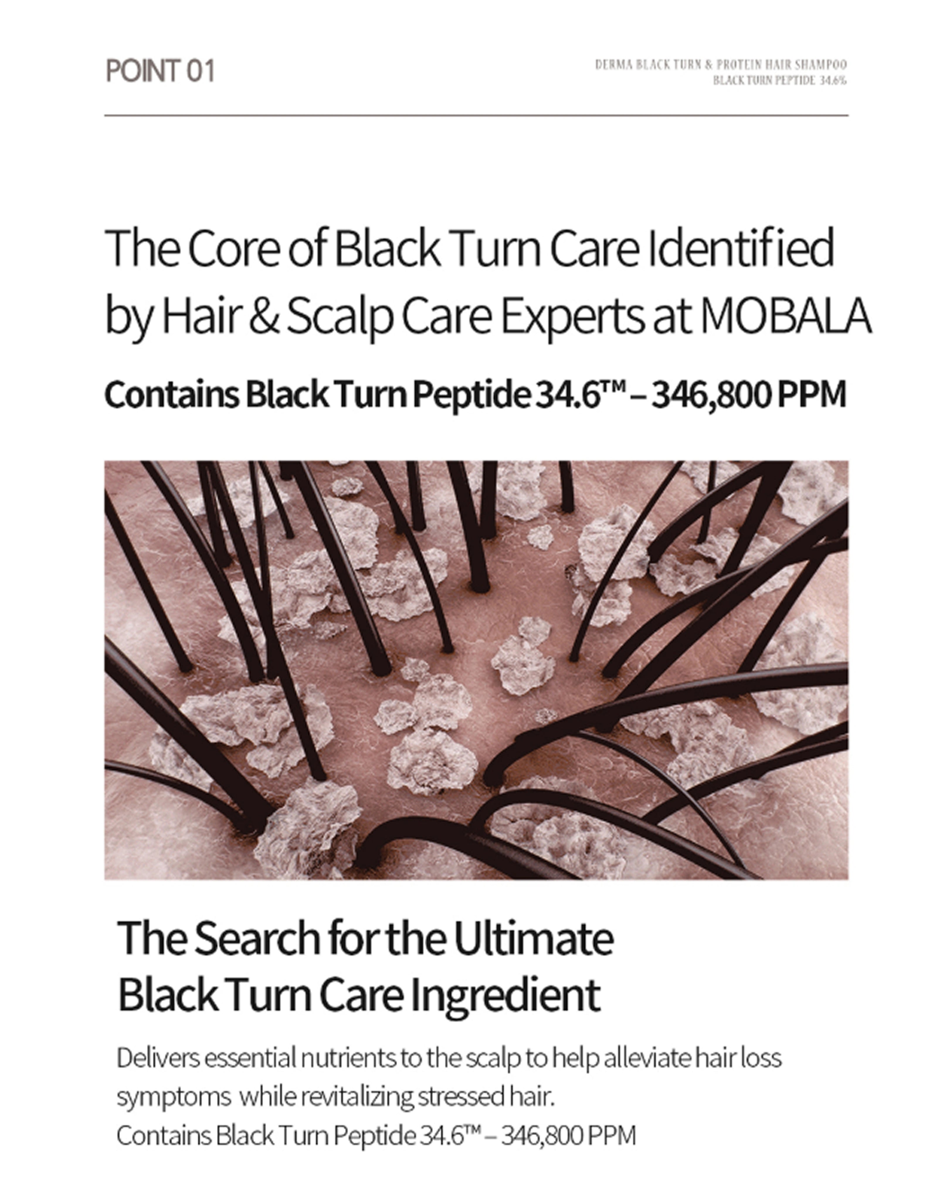 A white informational page with black text about black turn care ingredients and a central close-up photo of hair strands and white crystalline deposits on a scalp-like surface.