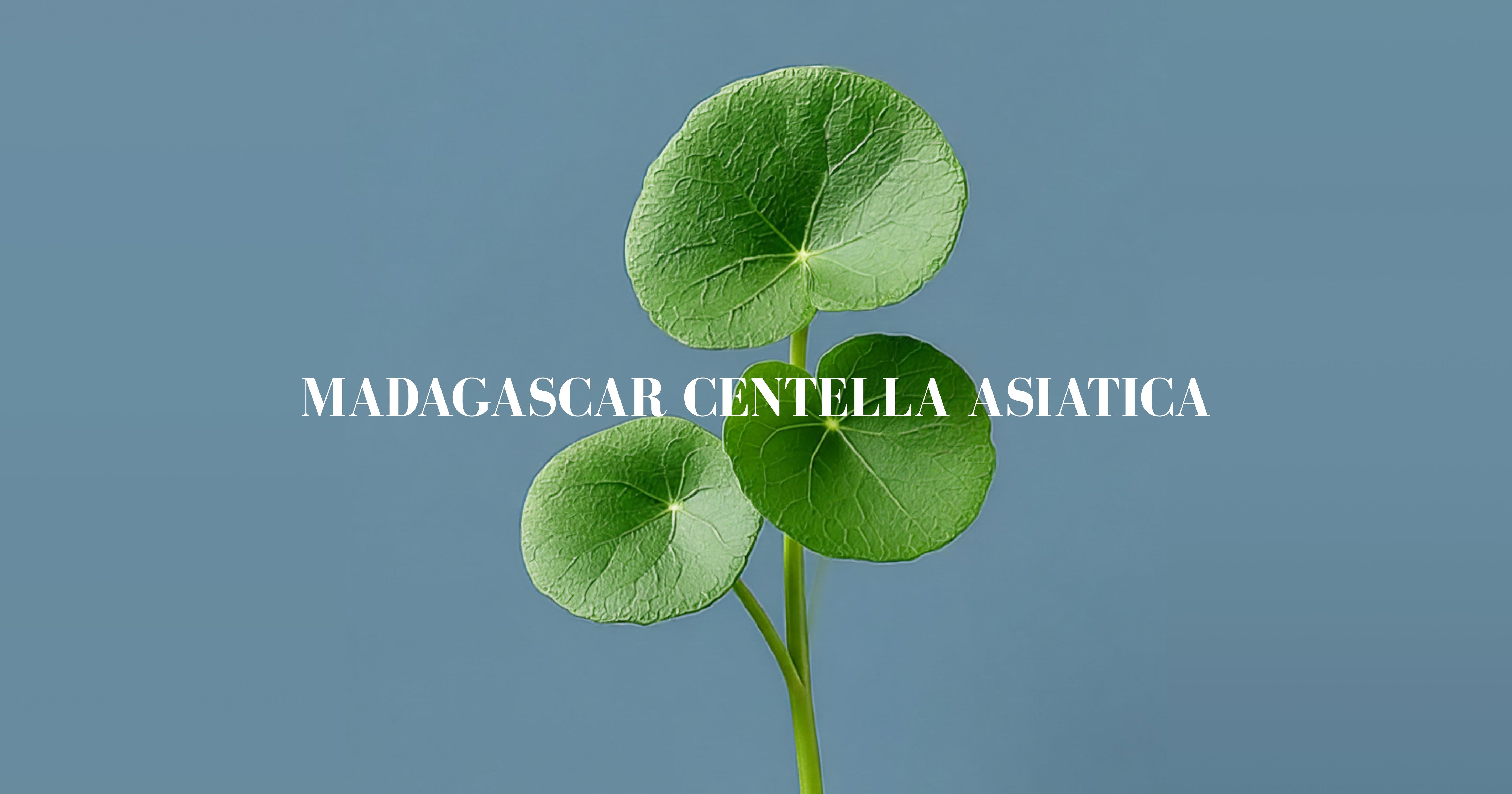 "Not All Cica Is the Same.” Here's Why Madagascar Changes Everything!