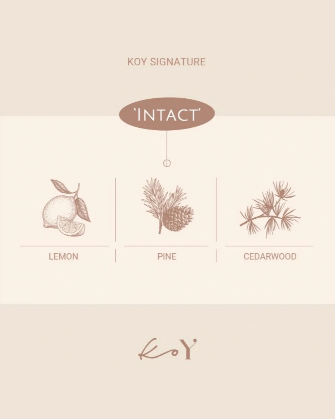 A minimalist beige and cream graphic card for Koy Signature's 'Intact' scented candle, featuring illustrations of a lemon, pine tree, and cedarwood branch with labels.