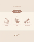 A minimalist beige and cream graphic card for Koy Signature's 'Intact' scented candle, featuring illustrations of a lemon, pine tree, and cedarwood branch with labels.