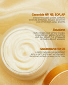 An open jar of creamy white skincare cream on a warm gold fabric background, with text highlighting key ingredients: Ceramide NP, NS, EOP, AP; Squalane; and Queensland Nut Oil.