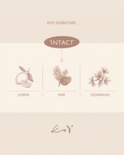 A minimalist beige and cream graphic card for Koy Signature's 'Intact' scented candle, featuring illustrations of a lemon, pine tree, and cedarwood branch with labels.