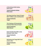 A promotional graphic showing five flavors of Teazen Kombucha with their packaging and flavor illustrations. The flavors listed are Pink Lemon, Yogurt, Shine Muscat Grapes, Peach, and Lemon, arranged in horizontal pastel bands on a white background.