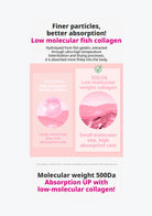 An informational marketing graphic for low molecular fish collagen, featuring text explaining absorption differences between 50kDa and 500Da molecular weights, with two pink circular product imagery panels in the center.