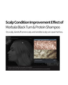 A promotional graphic with the headline 'Scalp Condition Improvement Effect of Morbala Black Turn & Protein Shampoo' above a dark panel showing a side profile of a woman and a close-up scalp treatment screenshot.