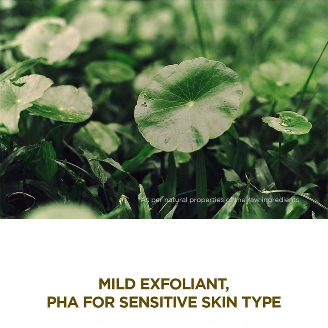 Close-up of green leaves with text about a mild exfoliant for sensitive skin type.