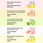 Teazen Kombucha product packaging with text describing flavors on a multicolored background