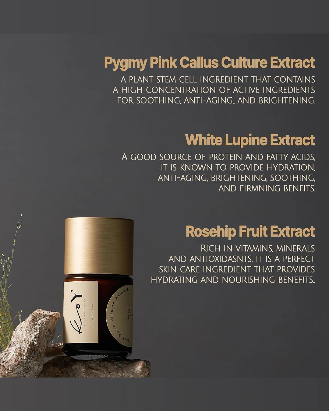 A dark gray promotional graphic featuring a small amber bottle with a metallic gold cap and cream label, placed on a piece of driftwood. Text on the right lists skincare ingredient claims: Pygmy Pink Callus Culture Extract, White Lupine Extract, and Rosehip Fruit Extract.